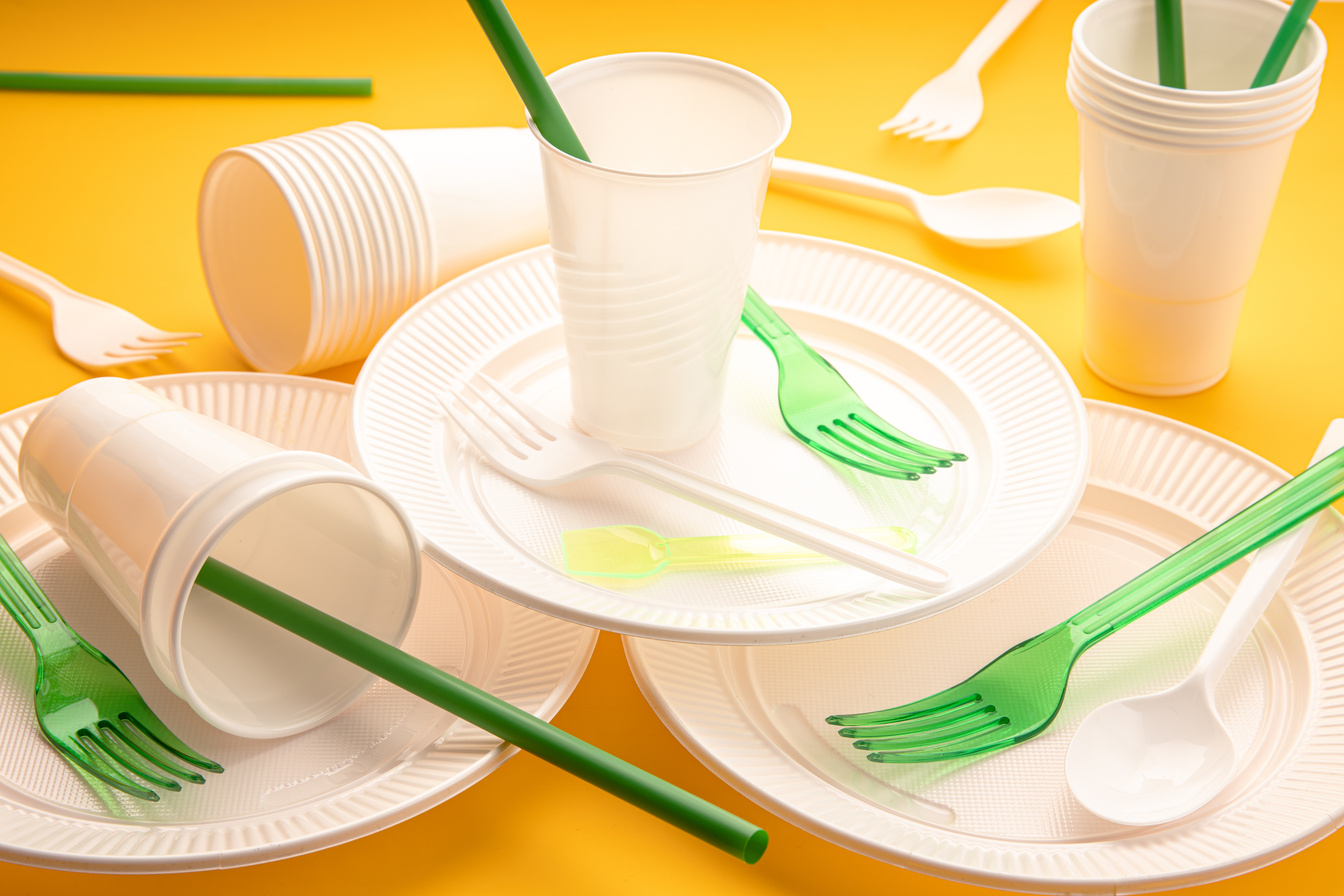 Disposable Plastic Tableware  